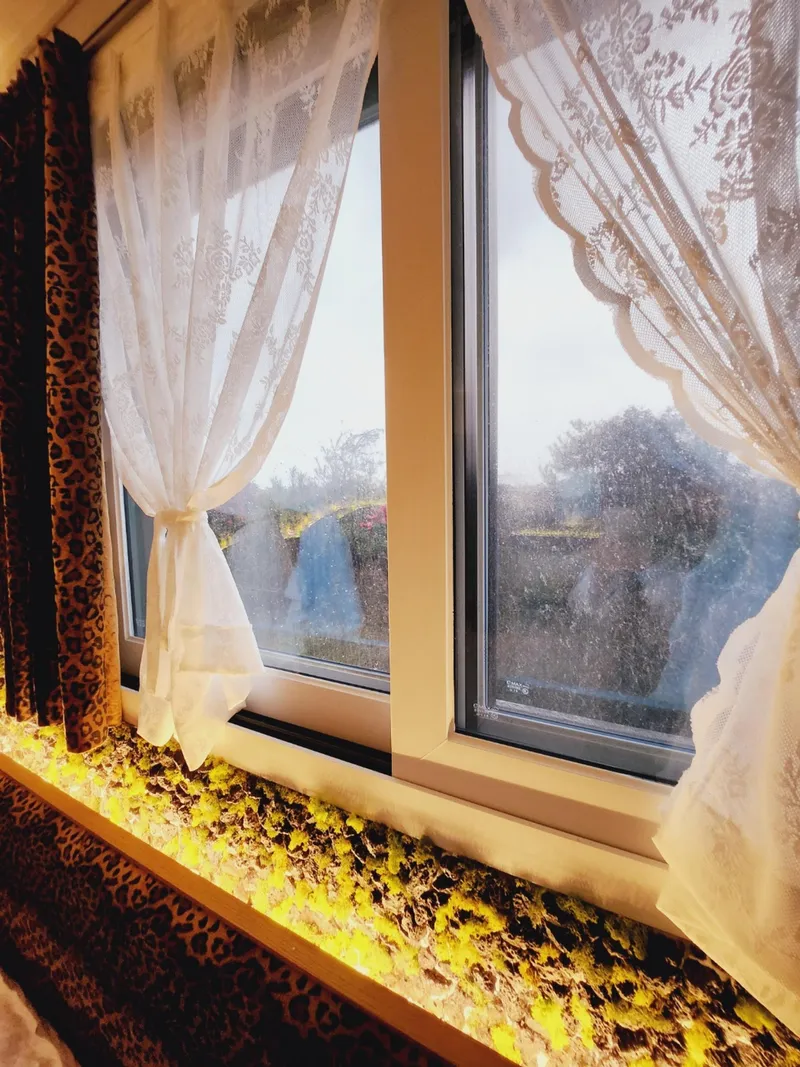 [Gujwa, Jeju] 500-pyeong Garden, Duplex, Hinoki, Fireplace, Steam Room, Barbecue #104 21