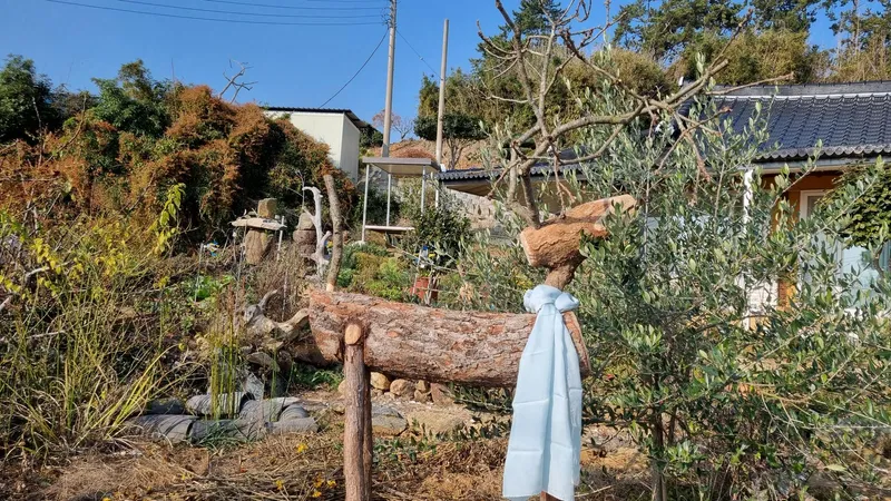 [Haenam] Healing in a detached Hanok house, the sea and wide fields of Haenam, the village at the end of the land 45