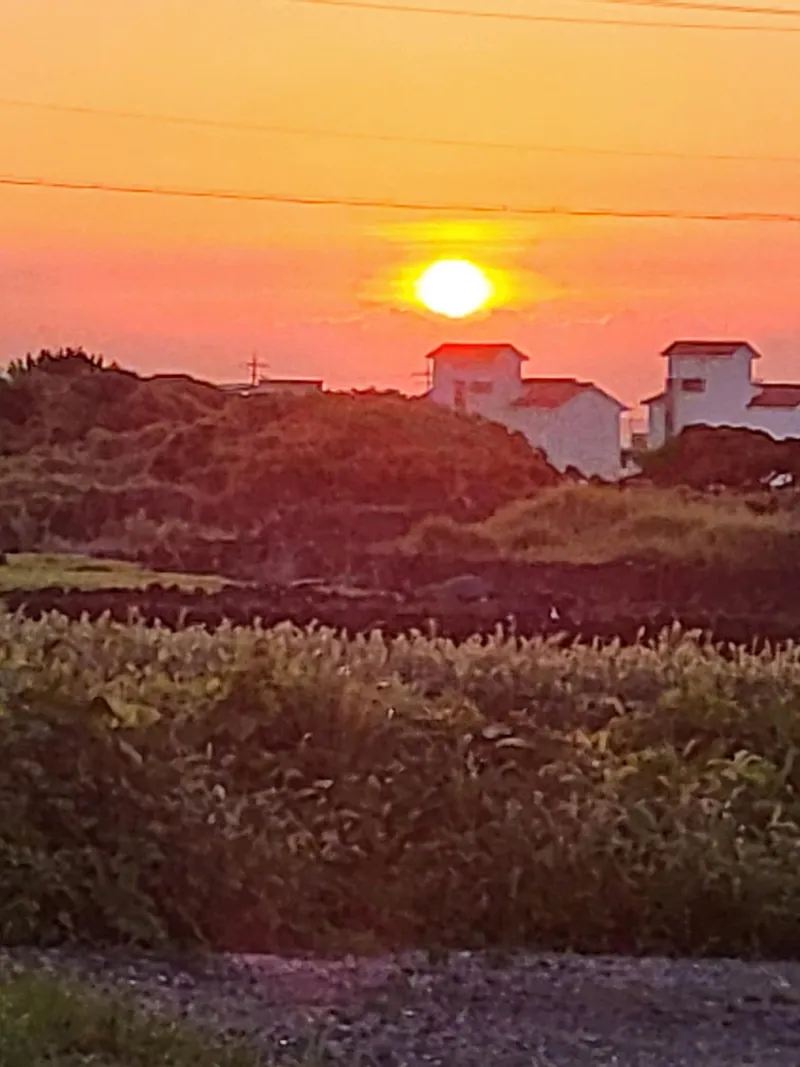 [Gujwa, Jeju] 500-pyeong flower yard independent pool villa better than swimming steam sauna Nakako front view #Cherry blossoms 46