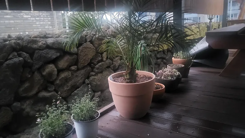 [제주 애월] 반려견과함께하는프라이빗한자쿠지독채팬션 21