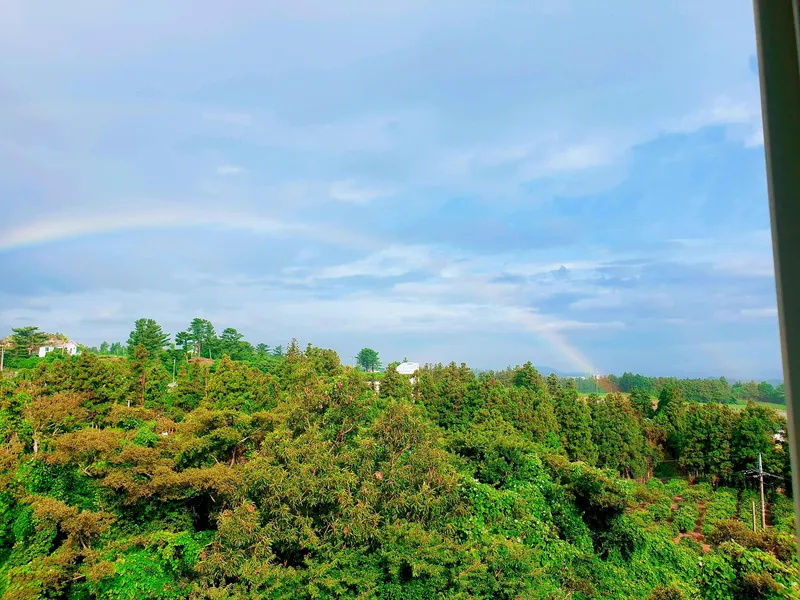 [Jocheon, Jeju] Ocean view on the 1st and 2nd floors of Swiss Village, famous for idol pictorials 57