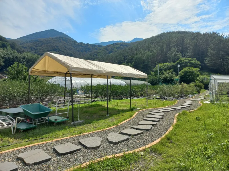 [Haman] A picturesque country house located in Ara Gaya, a historical site 7
