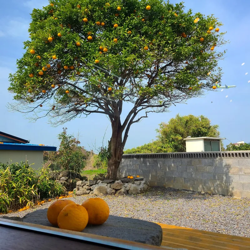 [Dopyeong-dong, Jeju] #Private Jacuzzi Remodeled Stylish Two-Room Traditional Stone House (Outer Annex) #Weekly Stay Only 22