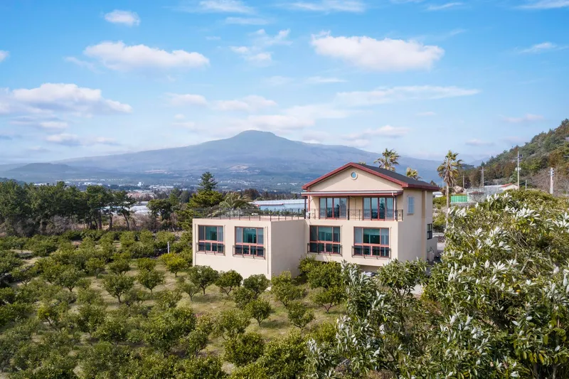 [Sanghyo-dong, Seogwipo] Hwangto Room B #Separate studio apartment on the first floor #Children allowed #Stone wall #Tangerine orchard #Hallasan sea 23
