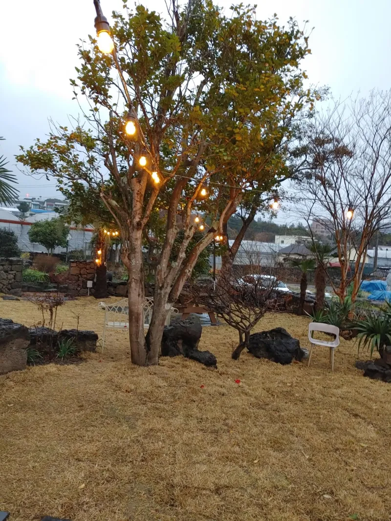 [서귀포 토평동] 잔디마당이 있는 푸른 정원의 인스타감성 주택 B동 22