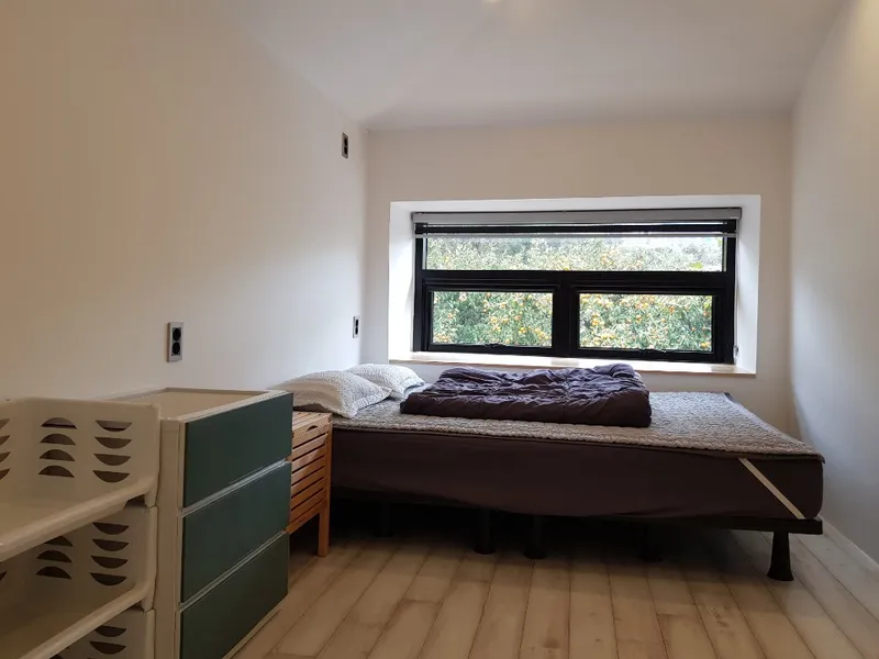 [Aewol, Jeju] Remodeled two-room traditional stone house B with a 100-year-old zelkova tree 2