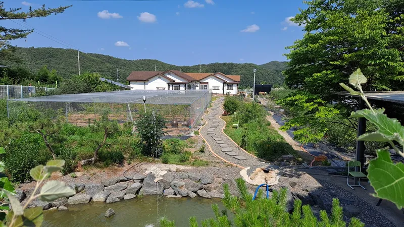 [Haman] A picturesque country house located in Ara Gaya, a historical site 16