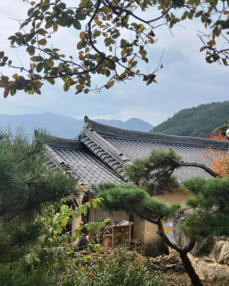[경남 하동] 조용하고 아늑한 모란방 11