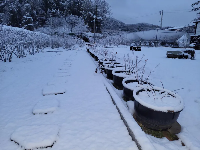 [Haman] A picturesque country house located in Ara Gaya, a historical site 4
