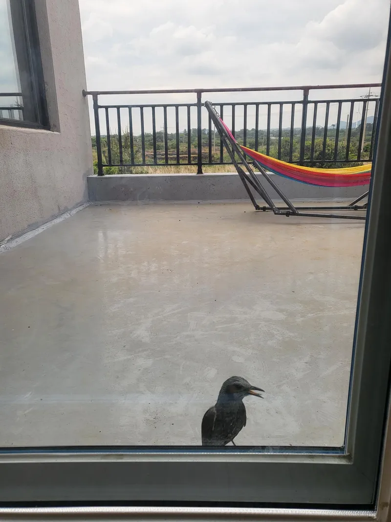 [Gujwa, Jeju] 500-pyeong flower yard independent pool villa better than swimming steam sauna Nakako front view #Cherry blossoms 52