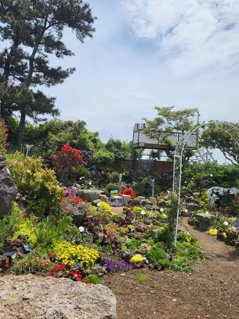 [제주 구좌] 500평 정원 독채바베큐와 불멍 찜질사우나가코앞 #동백 38