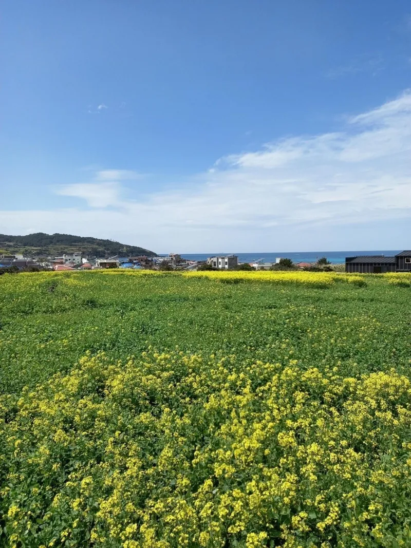 [제주 조천] 제주 함덕해수욕장5분거리 2층독채타운하우스#북촌14길에 머물 48