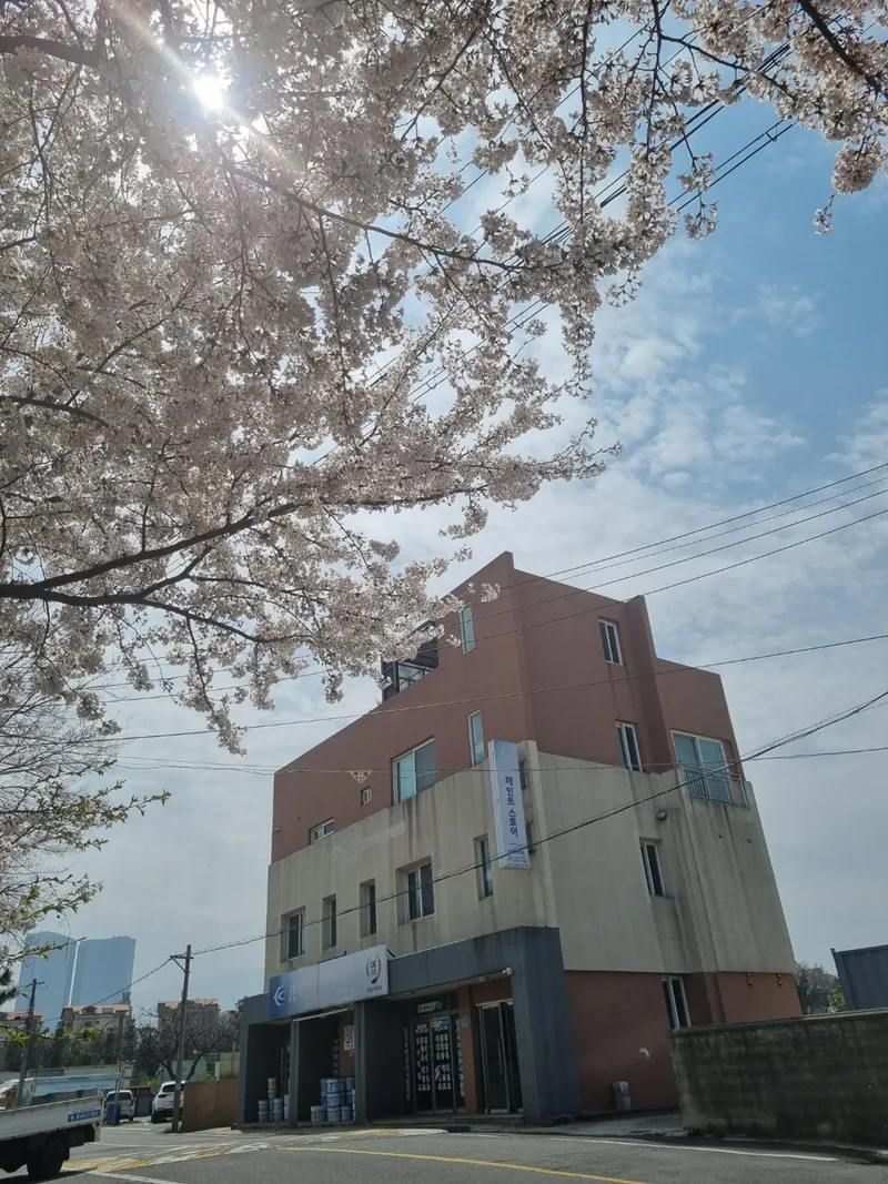 [제주 도두일동] 제주시내공항#하늘이이쁜집도두동 #제주시내 쓰리룸#제주바다가한눈에보이는집 46
