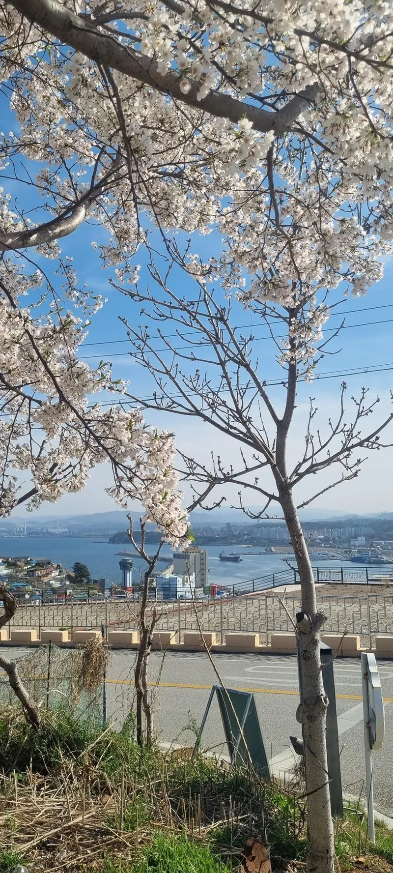 [Donghae] #Ocean view #Sunrise view #Nongoldamgil 10 min walk 30