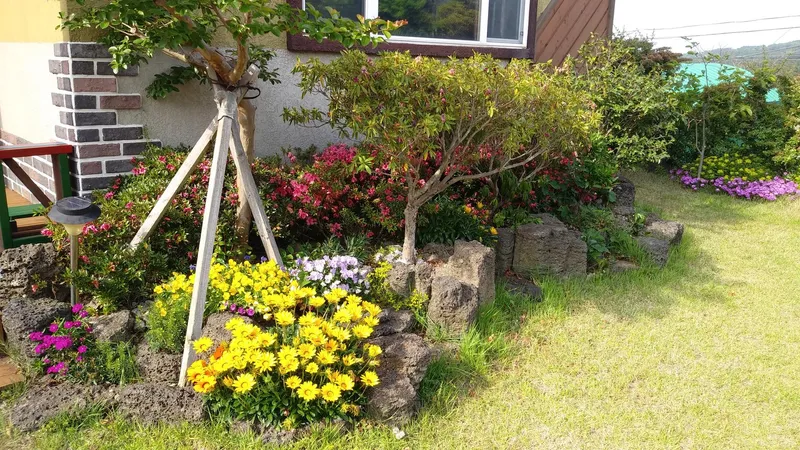 [Haean-dong, Jeju] A cozy family kids' private pension (duplex) that only I want to know about, with easy access to all four directions near the airport 37
