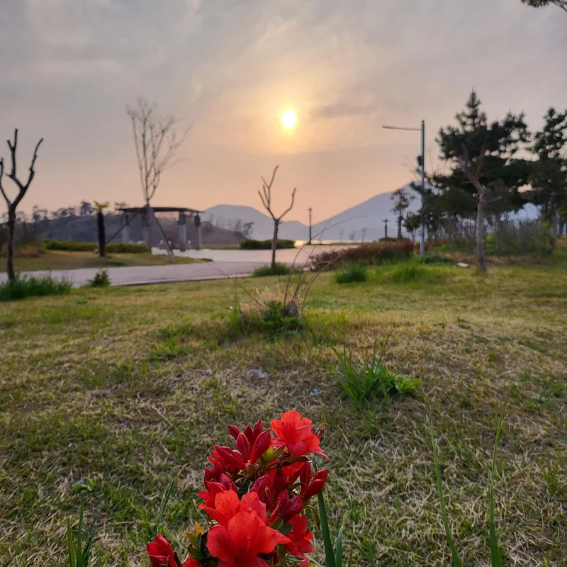 [전남 여수][섬섬 여수] 창 아래 요트계류장#확 트인 오션뷰#하늘, 바다를 한눈에 19