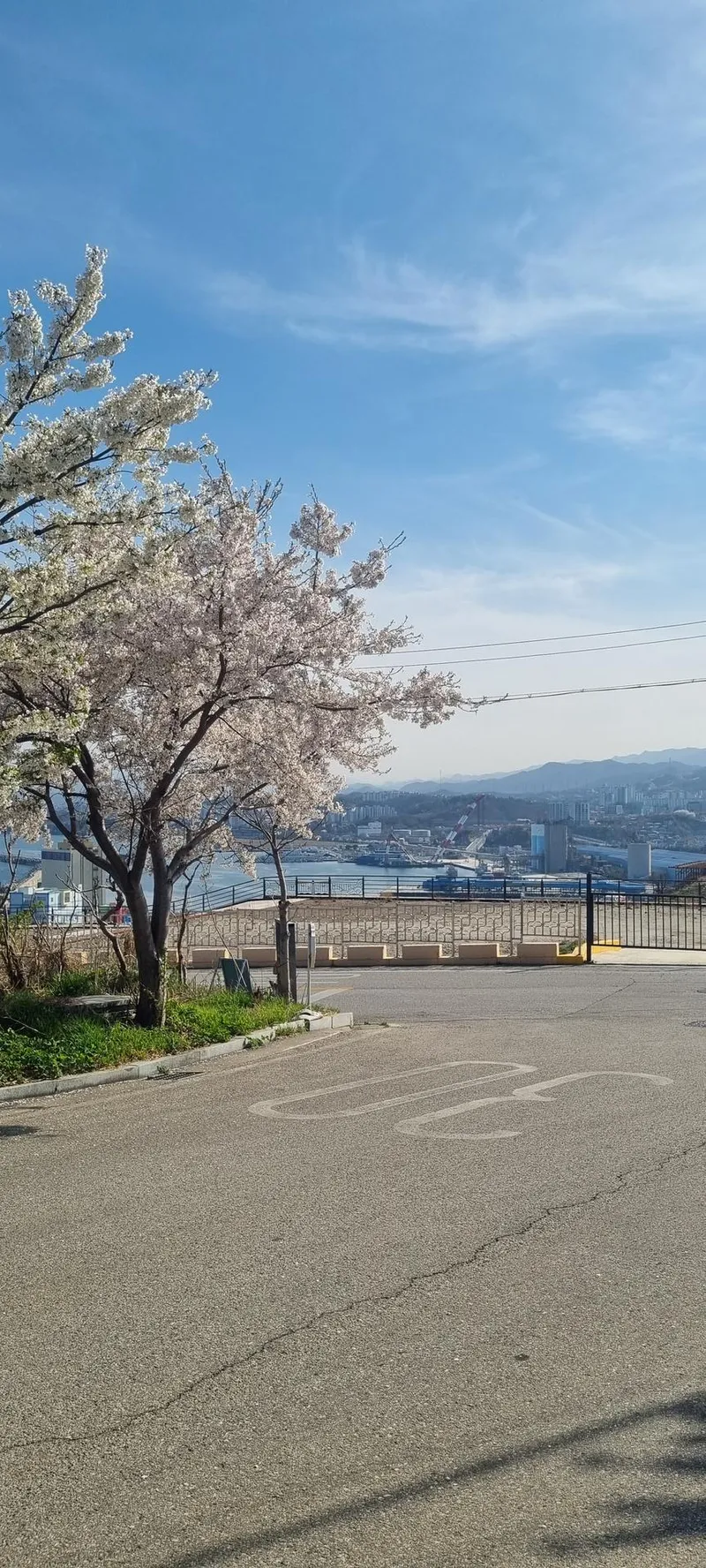 [Donghae] #Ocean view #Sunrise view #Nongoldamgil 10 min walk 28