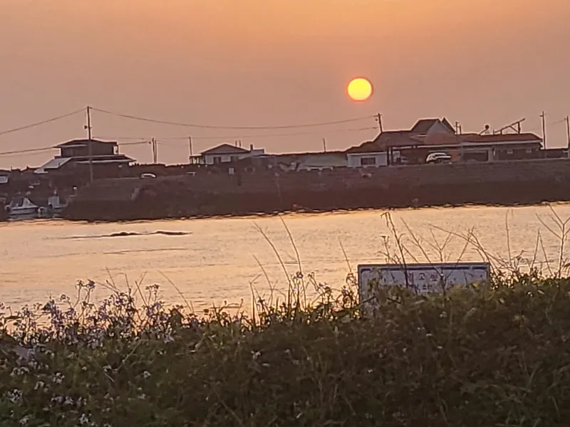 [Gujwa, Jeju] 500-pyeong Garden, Duplex, Hinoki, Fireplace, Steam Room, Barbecue #104 72