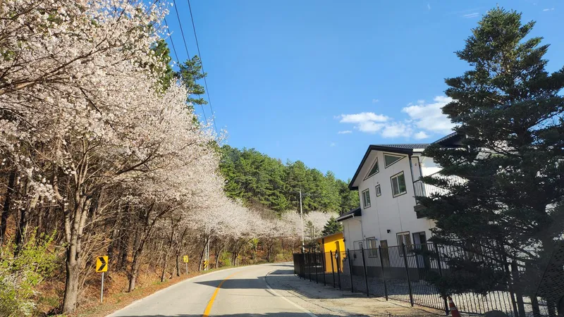 [경기 양평] 호수뷰 힐링 하우스 2층 18