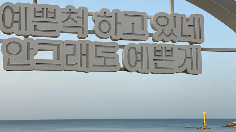 [강원 강릉] 영진해변 테라스 오션뷰/침대에서 맞는 일출/눈 뜨면 바다 32