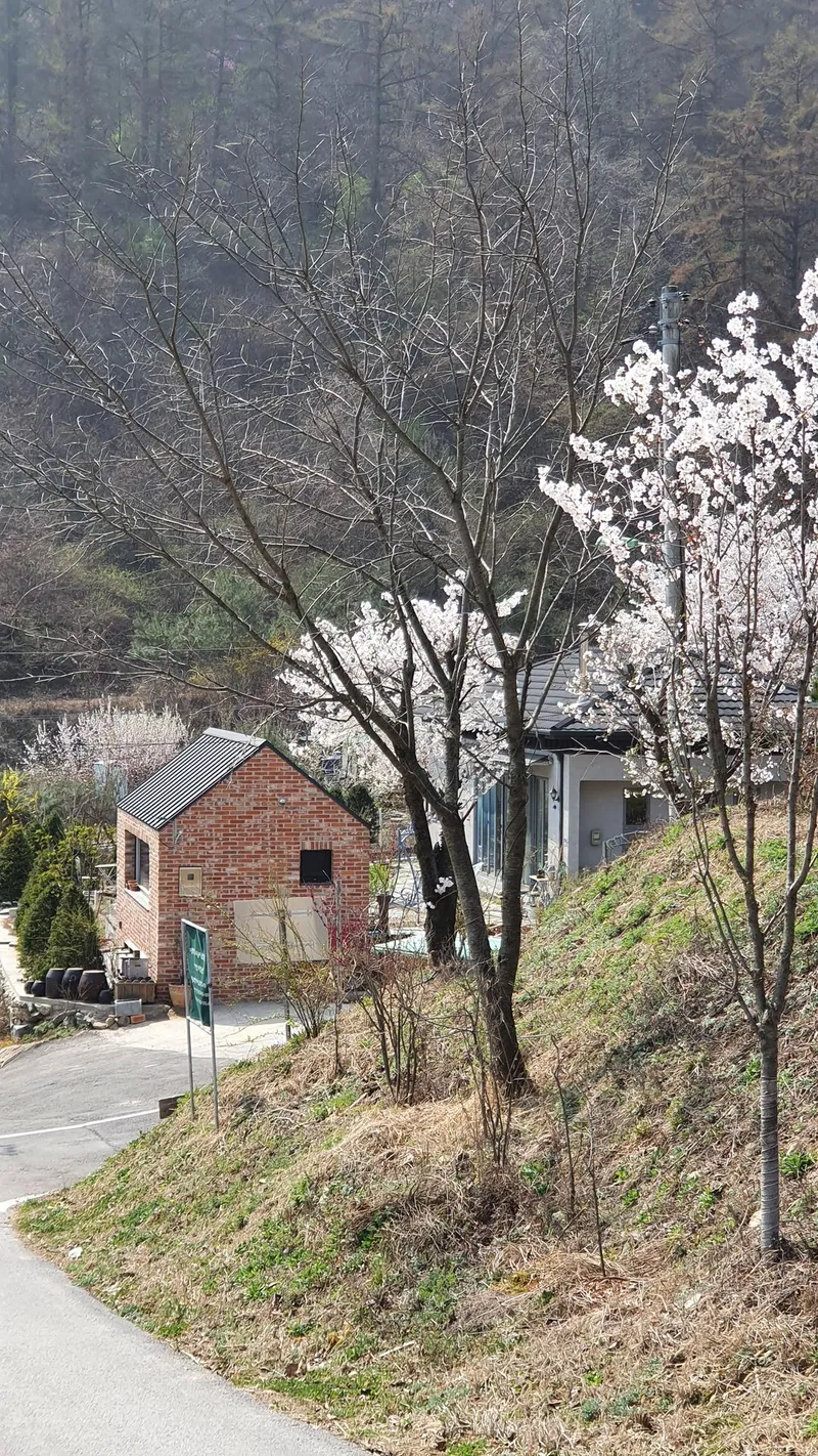 [Yangpyeong] Three-sided Mountain View, 10 minutes by car to Yangpyeong Station, detached one-room independent house 65