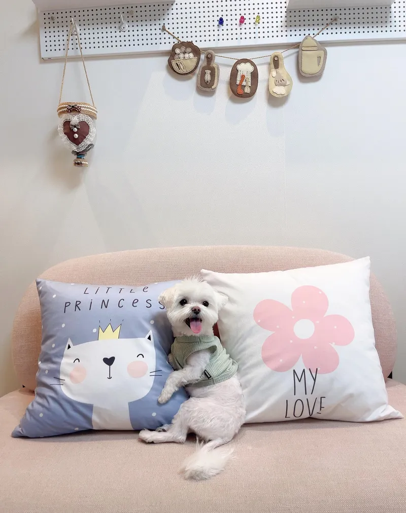 [Sokcho] Sokcho Beach (Pet Room) Reasonable and clean accommodation 10
