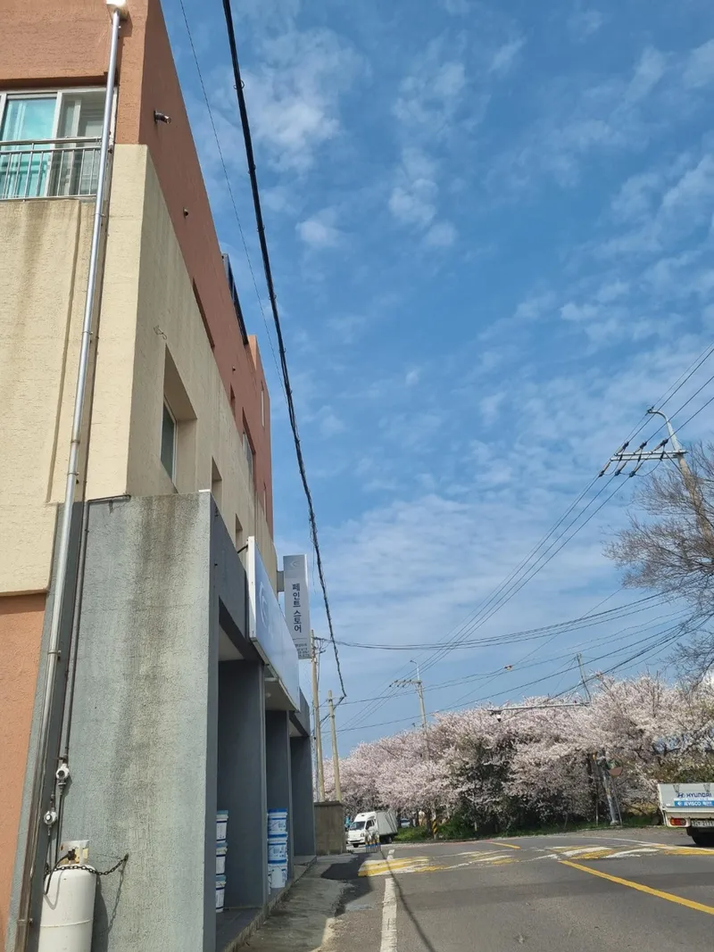 [제주 도두일동] 제주시내공항#하늘이이쁜집도두동 #제주시내 쓰리룸#제주바다가한눈에보이는집 47