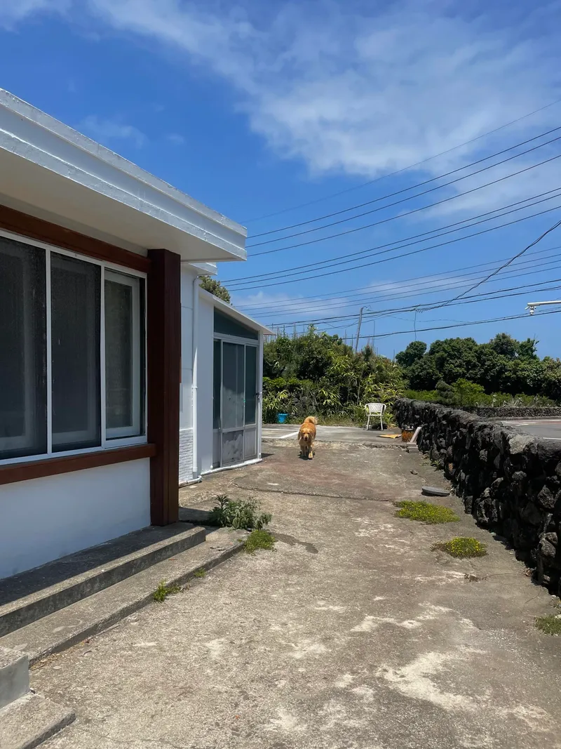 [Seongsan, Seogwipo] A sentimental detached house surrounded by tangerine fields and stone walls #Exclusive for one week and a half 38
