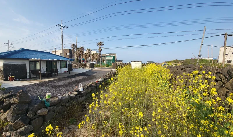 [Gujwa, Jeju] Woljeong Olle-gil Farmhouse #Wide Yard #Camping #5 Minutes to the Beach #Stone Wall #Parking Lot 10