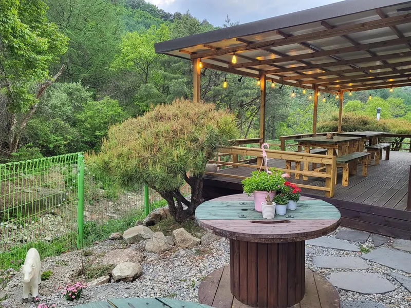 [충북 음성] 자작나무숲 계곡 테라스 원룸 15