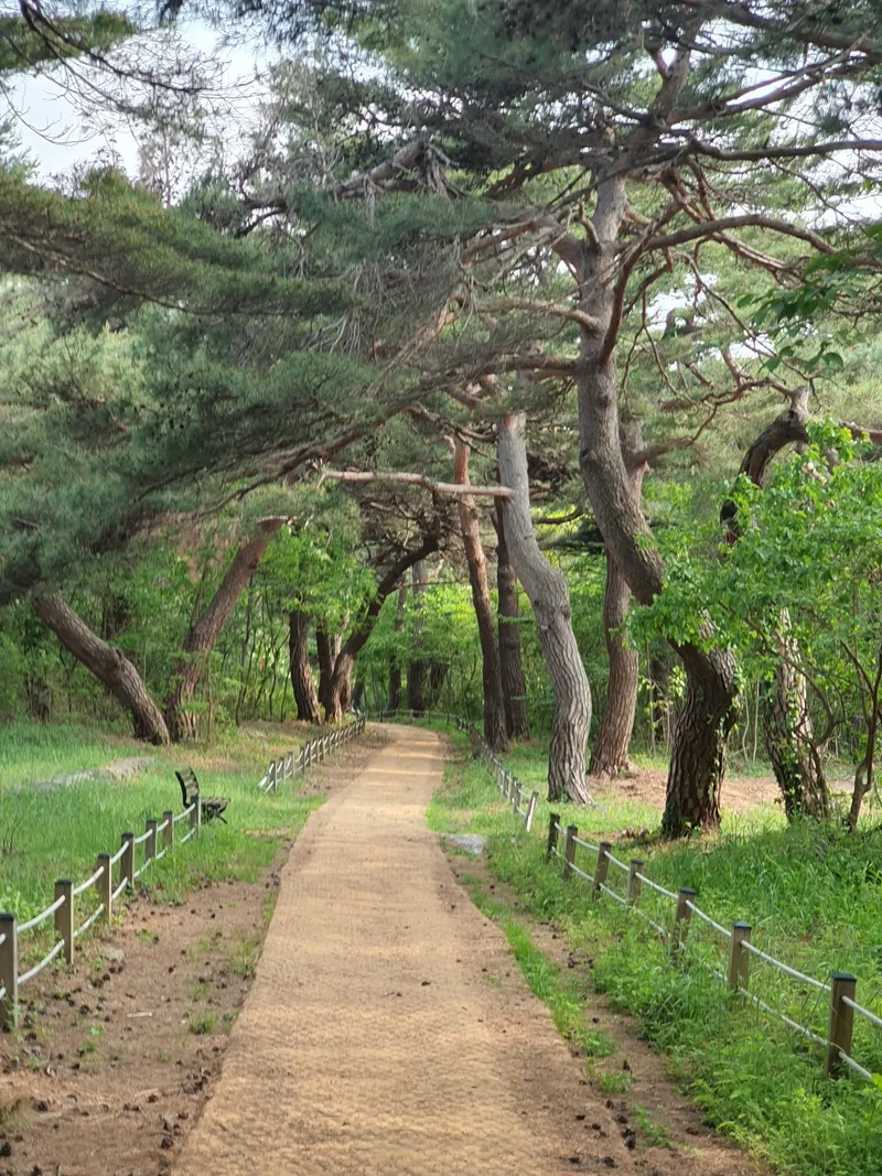 [강원 강릉] 금진해변 앞/서핑지/2층 사용/방2/바베큐 25
