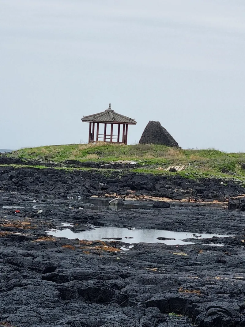 [Gujwa, Jeju][Jeju Gimnyeong] Yellow house next to Gimnyeong Cheonggulmul #Right in front of Gimnyeong sea 33