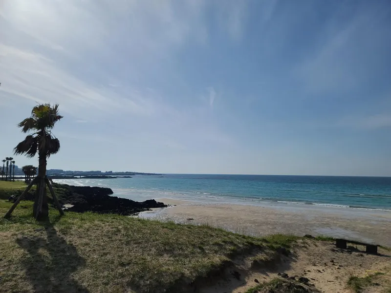 [Jocheon, Jeju][Jeju Hamdeok] Ocean view premium accommodation, 30 seconds walk to Hamdeok Beach 28