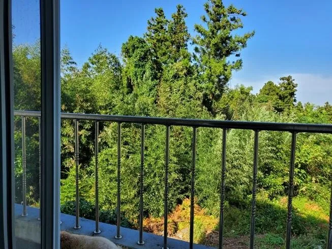 [Gujwa, Jeju] Hallasan & Darangshi Oreum panoramic view forest area two-room 301 #Pets allowed 9