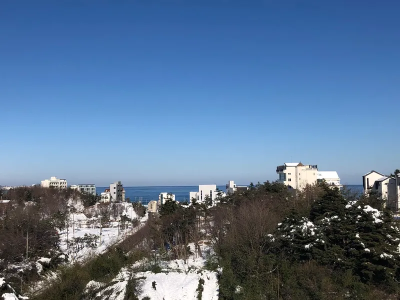 [Gangneung] Ocean view in a cozy space / Clean / 5 minutes walk from Sacheonjin Beach / Comfy Gangneung 2 27