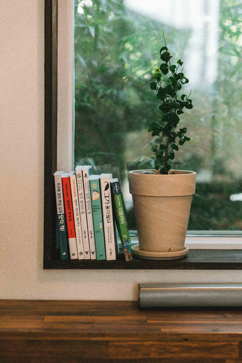 [서귀포 표선] 올레길 바닷가 마을 잔디 마당이 있는 쓰리룸 전원주택 43
