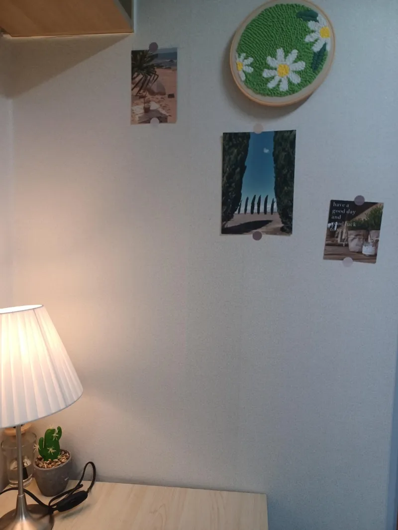[Seocho, Seoul][Gangnam] Overwhelming location! 3 minutes from the station, large windows, private bathroom (25 sq ft). 6