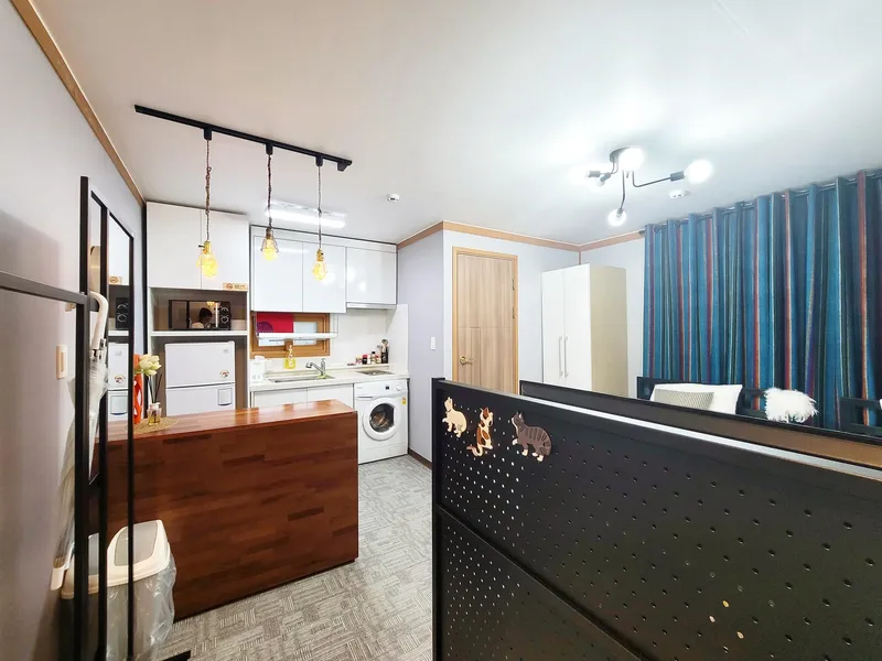 [Mapo, Seoul] Clean one-room apartment #203 near Mangwon Hangang-gil 17