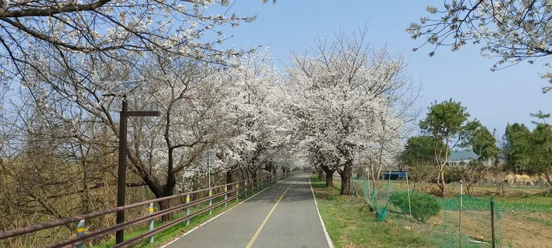 [Yangpyeong] River view and bicycle/walking path/fire pit pretty yard luxury one month living 1st floor 42