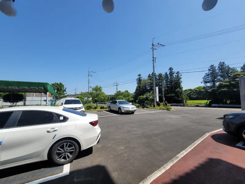 [제주 구좌] 한라산과 다랑쉬오름 전경 숲세권 원룸 B #애견동반가능 8