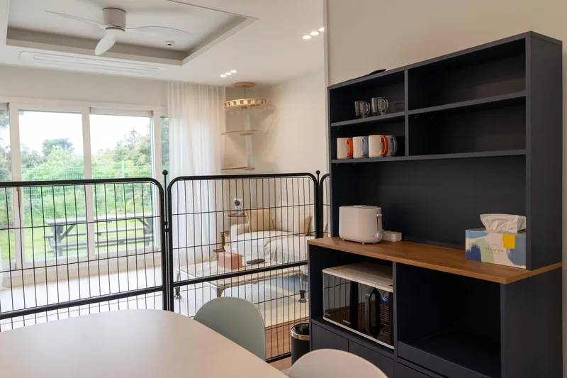 [Seongsan, Seogwipo] Pet-Friendly Four-Room Duplex Townhouse A 13