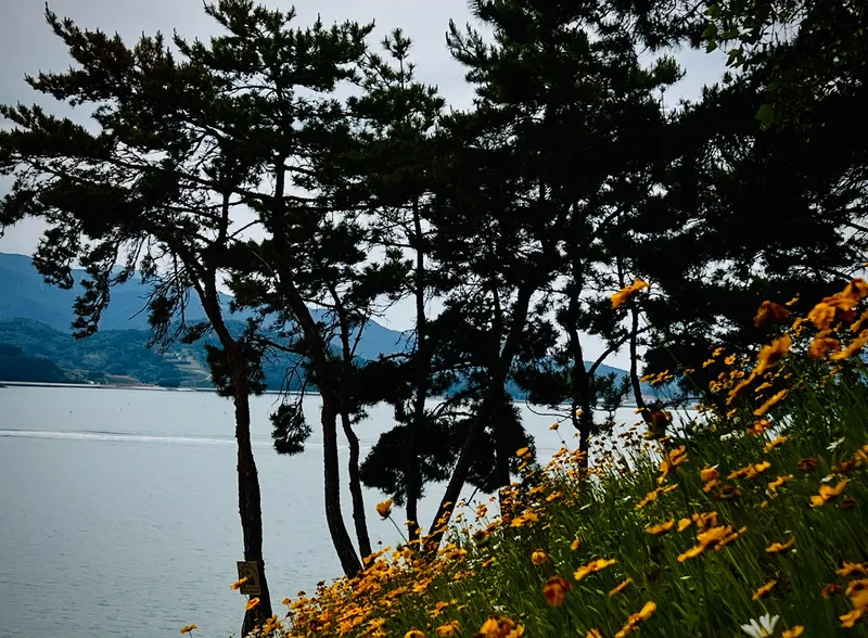 [경남 남해] 바다와 정원의오션뷰 1층 독채(애견가능) 135