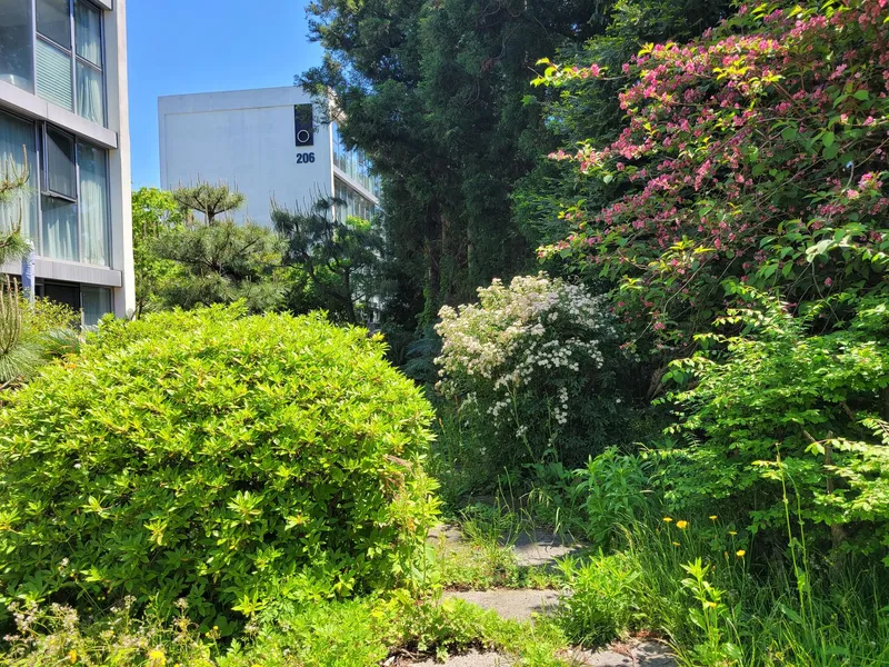 [Topyeong-dong, Seogwipo] Clean healing accommodation in the forest_Hotel style 12