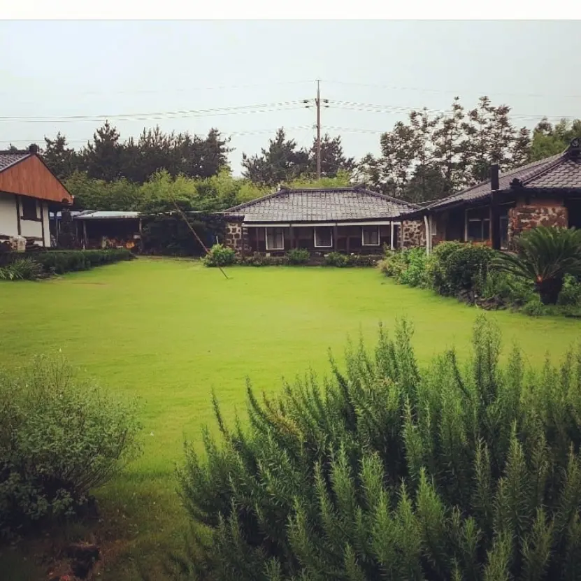 Jeju Pyo-seon Quiet stone wall stay B in nature - main image