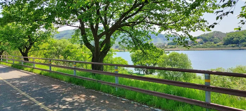 [Yangpyeong] River view and bicycle/walking path/fire pit pretty yard luxury one month living 1st floor 35