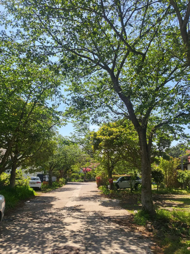 [Jocheon, Jeju] Private two-story detached house in the forest 30