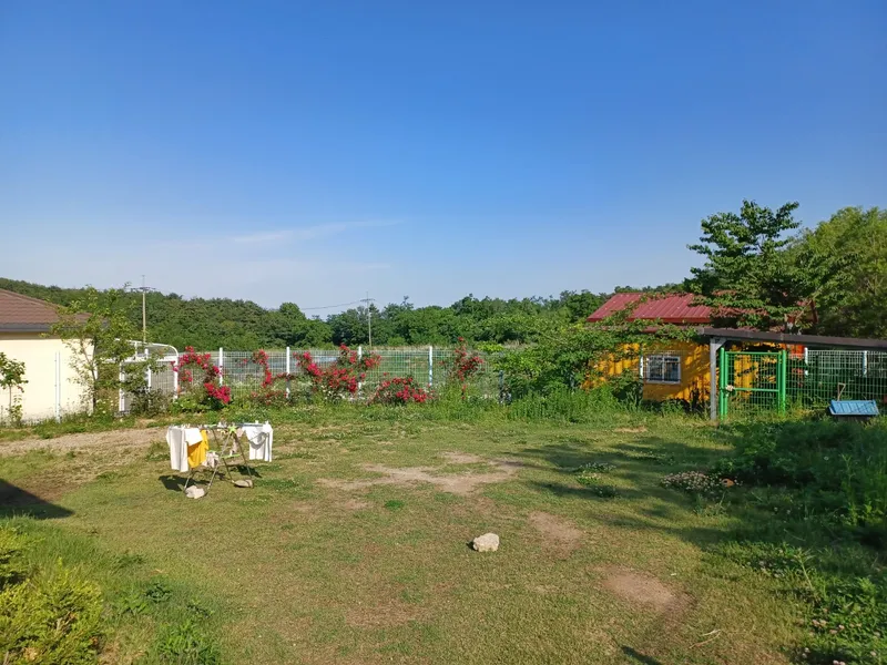 [강원 고성] 숲속오두막 독채#울산바위,바다차량7분#숲불별멍#집전체울타리 16