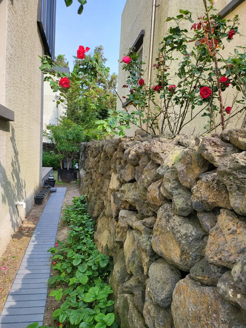 [제주 한림][제주 협재] 깨끗한 투룸 타운하우스 44