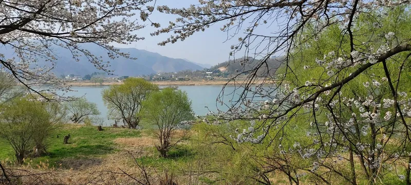 [Yangpyeong] River view and bicycle/walking path/fire pit pretty yard luxury one month living 1st floor 43