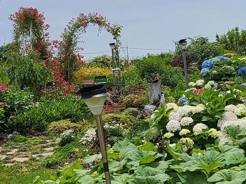 [Gujwa, Jeju] 500-pyeong Garden, Duplex, Hinoki, Fireplace, Steam Room, Barbecue #104 76